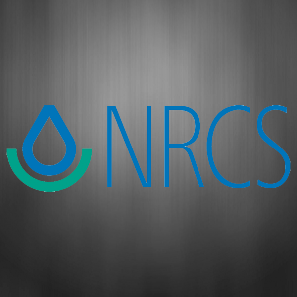 Dr Moradkhani Personal Website Of Dr Hamid Moradkhani